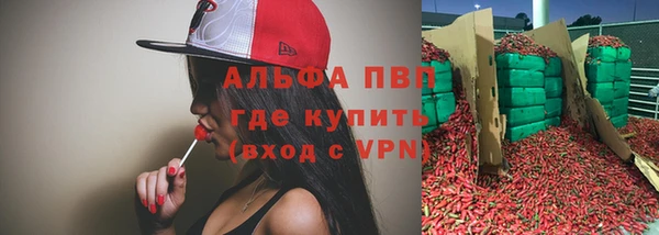 PSILOCYBIN Баксан