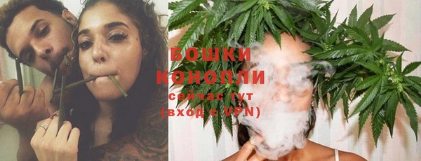PSILOCYBIN Баксан