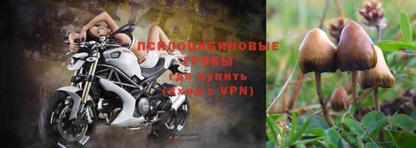 гидропоника Балахна
