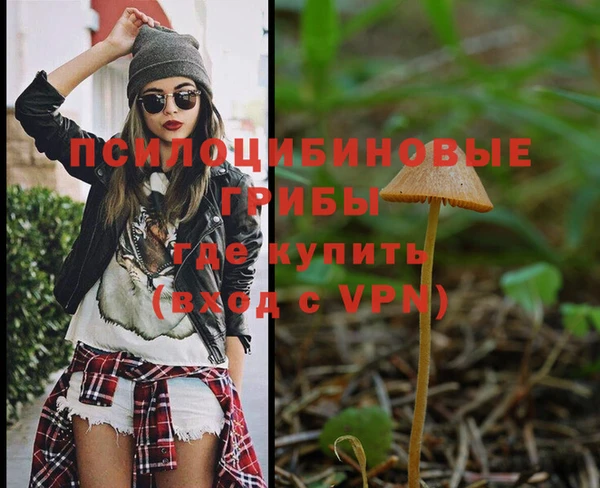 PSILOCYBIN Баксан