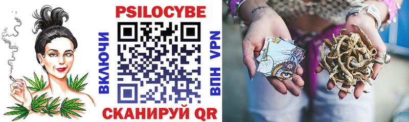 где продают наркотики shop официальный сайт Псилоцибиновые грибы прущие грибы Пугачёв